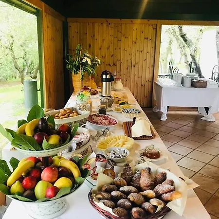 Panconesi